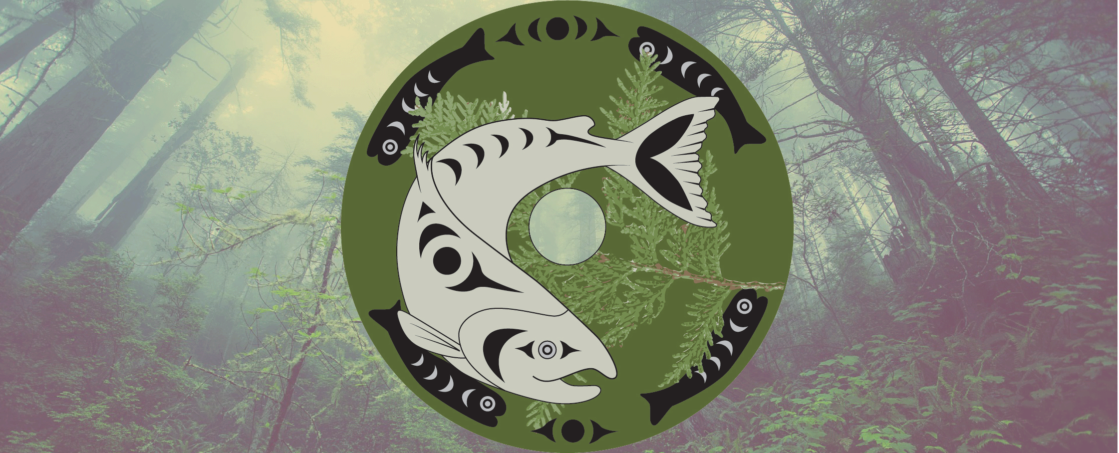 spindle whorls and forest